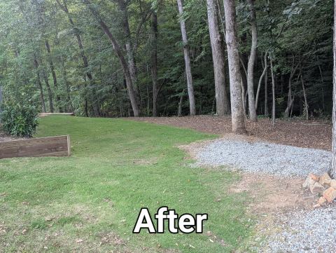 Cleared backyard with new lawn and a gravel path