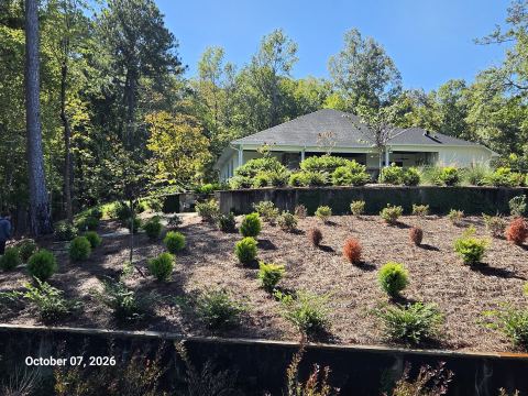 Terraced landscaping beds below a house