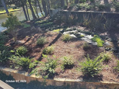 Terraced planting beds with fresh mulch