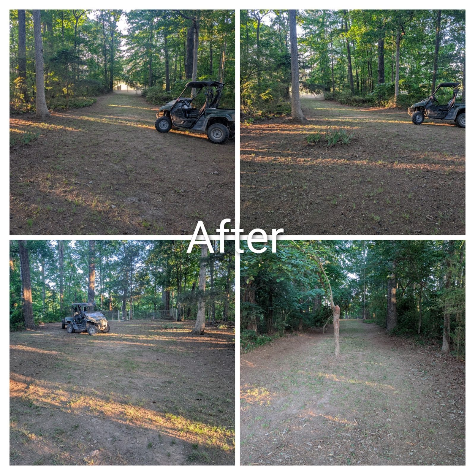 Wooded lot after brush clearing